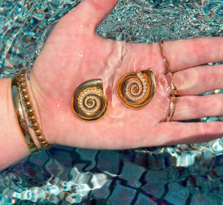 Marin Seashell Stud Earrings