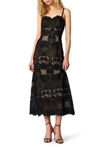 Willow Scalloped Floral Lace Midi Dress