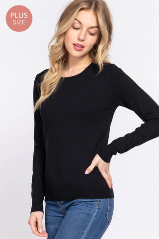 The Plus Long Sleeve Crew Neck Basic Sweater