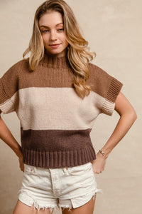 Monica Color Block Sleeveless Sweater