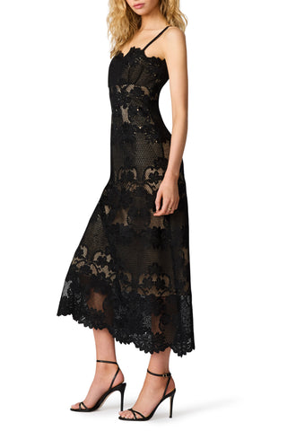 Willow Scalloped Floral Lace Midi Dress