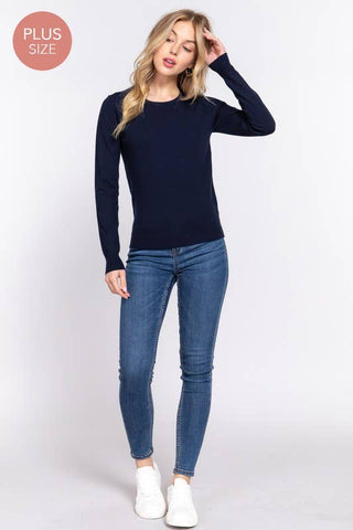 The Plus Long Sleeve Crew Neck Basic Sweater
