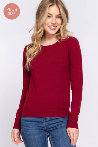 The Plus Long Sleeve Crew Neck Basic Sweater