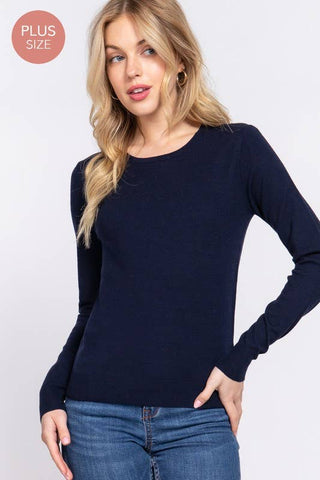 The Plus Long Sleeve Crew Neck Basic Sweater