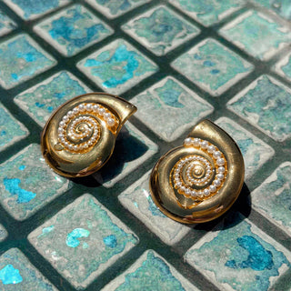 Marin Seashell Stud Earrings