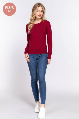 The Plus Long Sleeve Crew Neck Basic Sweater