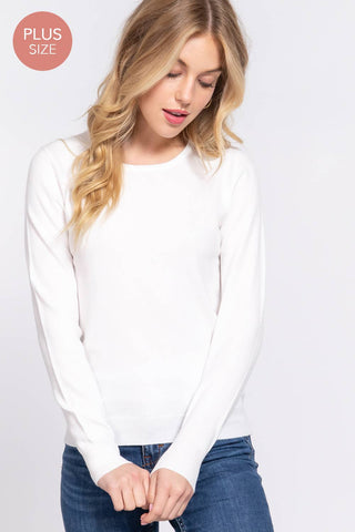 The Plus Long Sleeve Crew Neck Basic Sweater