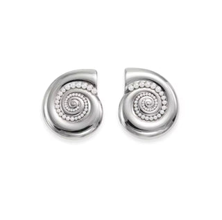 Marin Seashell Stud Earrings