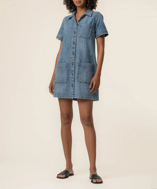 Parker Denim Dress