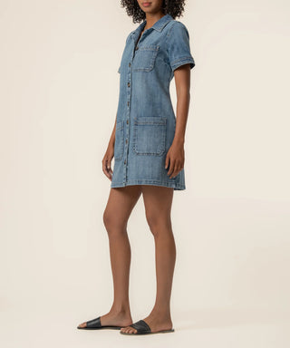 Parker Denim Dress