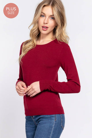 The Plus Long Sleeve Crew Neck Basic Sweater