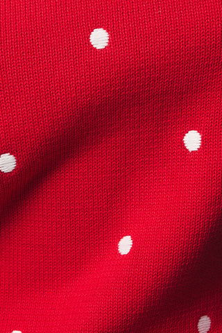 The Ruby Polka Dot Sweater