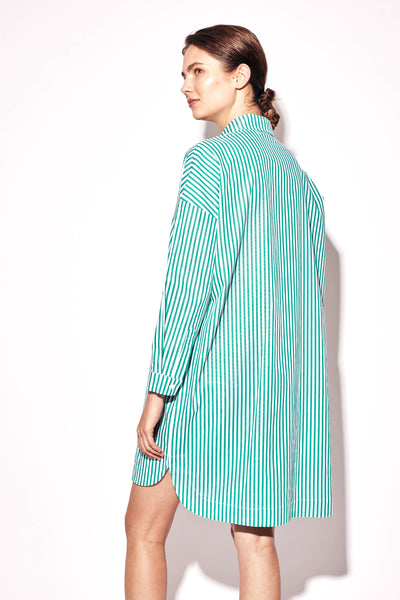 Deluc- Solar Dress- Green Stripe